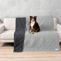 PetAmi Waterproof Couch Cover for Dog Bed Sofa Blanket, 68x82 Light Gray | Leakproof Furniture Protector for Pet Cat, Machine Washable Pee Proof Mat for Chair Car Seat, Durable & Anti Slip Backing by PetAmi