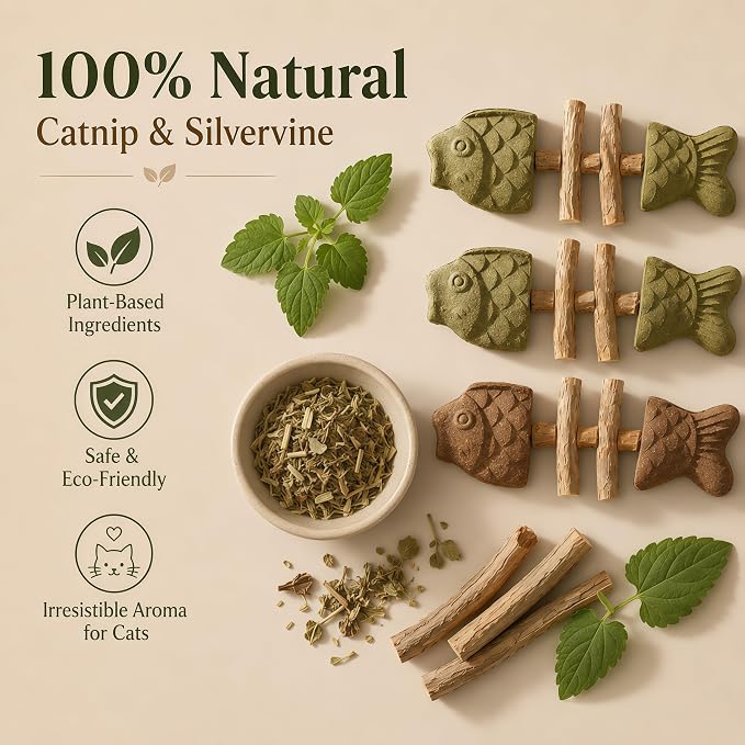 Catnip and Silvervine Chew Toy for Cats (3 PCS, Mixed Flavor) | Natural Fishbone Cat Dental Toy with Silvervine Sticks, Teeth Cleaning, Boredom Relief for Kittens & Adult Indoor Cats - Image 3