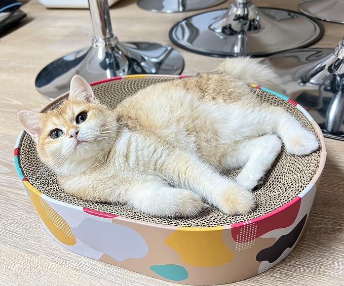 Cat Scratcher Lounge Bed - Lounge Couch for Indoor Cats Oval Shape 17"x13" Long Lasting Furniture - Image 2