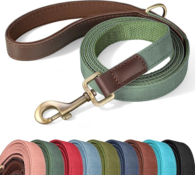 PU Leather Dog Leash for Medium Dogs, 5ft Soft Padded Handle, Green | Comfortable Grip for Daily Walking Training, Full Control, Metal D-ring, Tangle-Free 360° Swivel Clasp, Easy to Clean, 3/4in by Didog