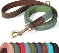 PU Leather Dog Leash for Medium Dogs, 5ft Soft Padded Handle, Green | Comfortable Grip for Daily Walking Training, Full Control, Metal D-ring, Tangle-Free 360° Swivel Clasp, Easy to Clean, 3/4in by Didog