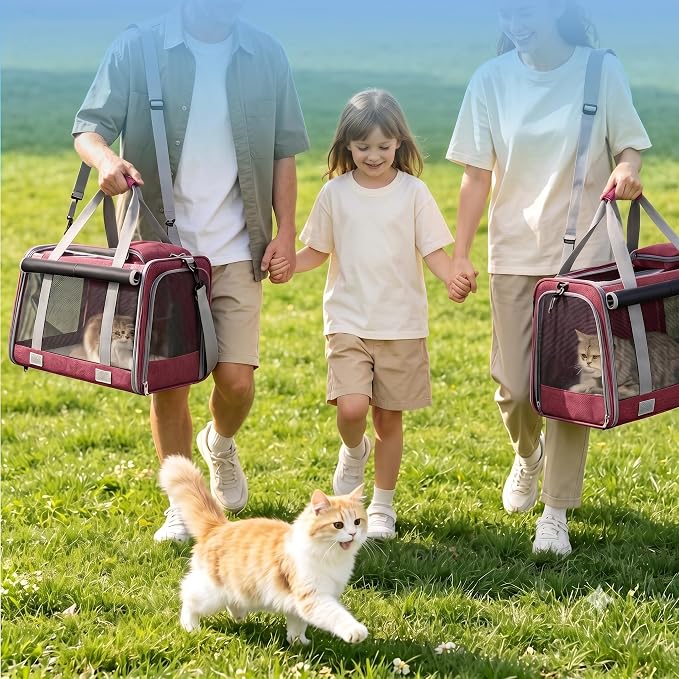 Pet Carrier for Medium-Small Cats, Collapsible Cat Carrier and Soft-Sided Pet Carrier for Medium Big Cats and Puppy Up to 17lbs, 2-Way Entry with Privacy Cover, Travel Bag L18.9”X11.42”X11.42” - Image 6