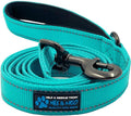 Max and Neo Reflective Nylon Dog Leash - We Donate One for Every Sold (Teal, 4x1) by MaxandNeo