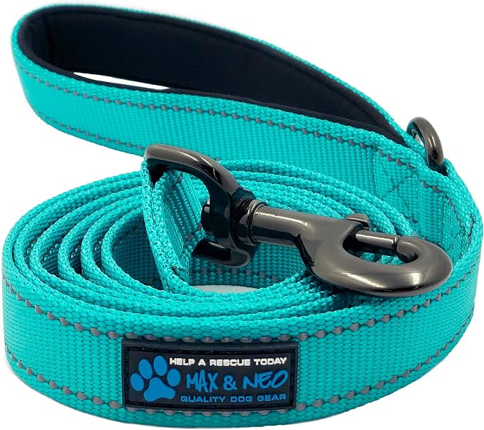 Max and Neo Reflective Nylon Dog Leash - We Donate One for Every Sold (Teal, 4x1) by MaxandNeo