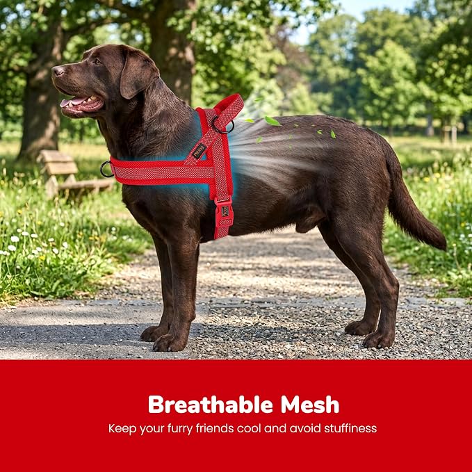 No Pull Dog Harness for Large Dogs, Breathable Mesh Padded, Red, L | Quick Fit, Easy On and Off, Adjustable, Reflective Vest Harness for Night Safty, Easy for Walking and Training, Chest 26-32" - Image 2