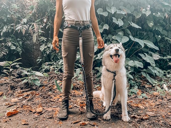 Tuff Pupper Hands Free Bungee Dog Leash, Waist Belt for Running & Walking | Heavy Duty for One Large Dog up to 125 lb, Shock Absorbing with Lumbar Support & Reflective Padded Handles for Jogging - Image 8