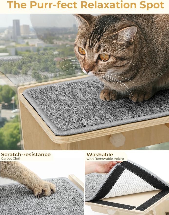 Pecute Double Cat Shelves with Scratching Post for Wall & Window | Solid Wood Frame, Strong Suction Cups, Washable Cover Mat, Cats Perch Bed for Birds Watching Inside, Indoor Cat Hammock Bed - Image 7