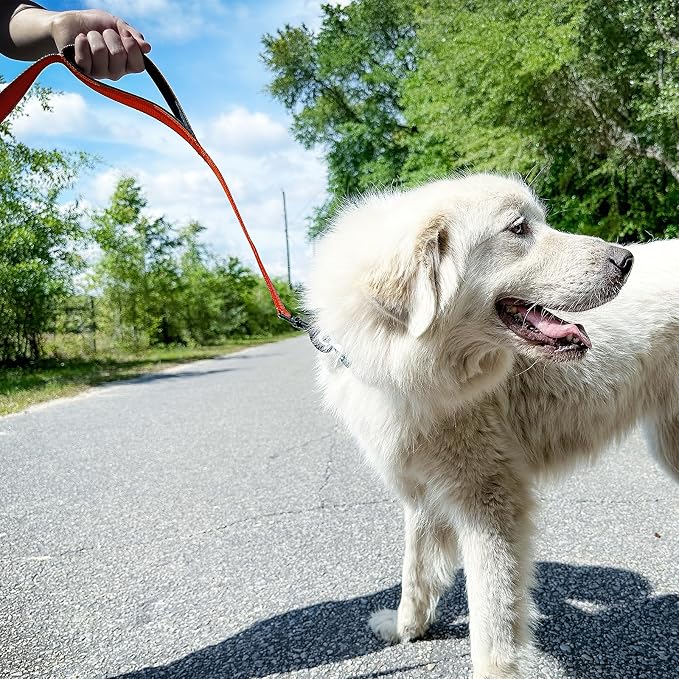 Joytale Dog Leash for Large Dogs that Pull, Double Handle, 5FT, Orange | Traffic Handle for Control, Padded Handle Reduces Hand Strain, Reflective Stitching for Night Safety, Strong Nylon Webbing - Image 4