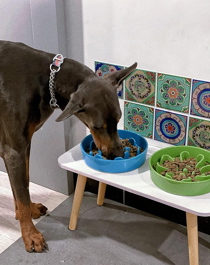 LE TAUCI Dog Bowls Slow Feeder Ceramic, 1.5 Cup Slow Feeding Bowl for Small and Medium Breed, Puzzle Dog Food Bowl for Fast Eater, Vortex Blue - Image 8