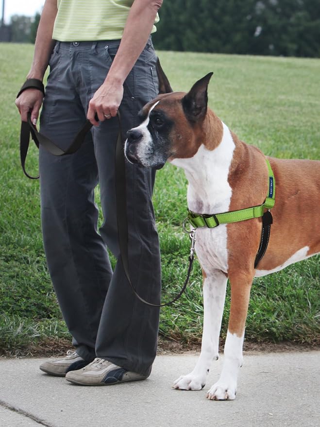PetSafe Easy Walk Deluxe Dog Harness, No Pull Dog Harness – Perfect for Leash & Harness Training – Stops Pets from Pulling and Choking on Walks – Large, Apple - Image 2