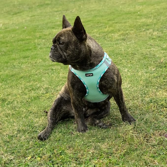 AMTOR Small Dog Harness with Leash Set, No Escape Easy Walk Puppy Harnesses for Training Walking, Step-in Reflective Soft Dogs Vest for XS S Medium Extra-Small Large Sized Dog(Green,XL) - Image 5