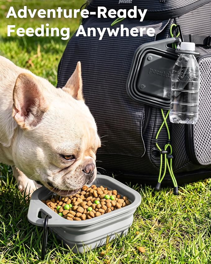 Pecute 2 Pack Foldable Travel Dog Bowls, Portable Silicone, Grey/Dark Grey | Food-Grade Silicone, BPA Free, with Carabiner Clip for Hiking, Durable & High Quality, Dishwasher Safe, 15oz Per Bowl - Image 2