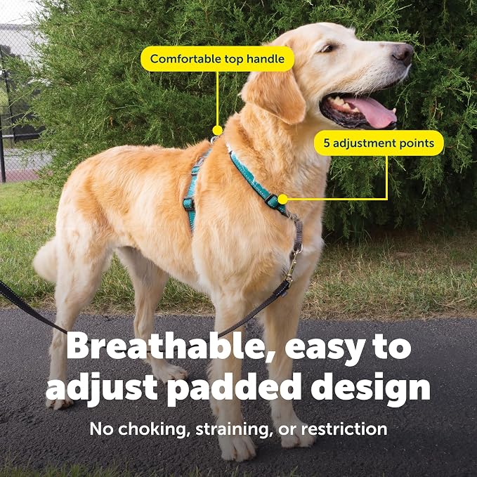 PetSafe 3 in 1 No-Pull Dog Harness - Walk, Train or Travel - Helps Prevent Pets from Pulling on Walks - Seatbelt Loop Doubles as Quick Access Handle - Reflective Accents - Large, Teal | Rests on Chest Not Throat to Reduce Pulling, 5 Adjustment Points, ... - Image 4