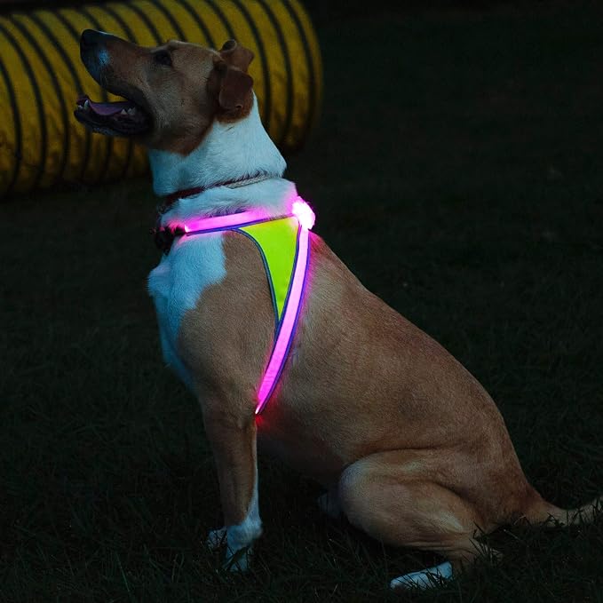 noxgear LightHound Light Up Reflective Dog Harness, X-Large | 360° Light Up Reflective Dog Harness, 8 Colors & 6 Modes, USB Rechargeable, Adjustable, Rainproof, LED Fiber Optic - Image 4