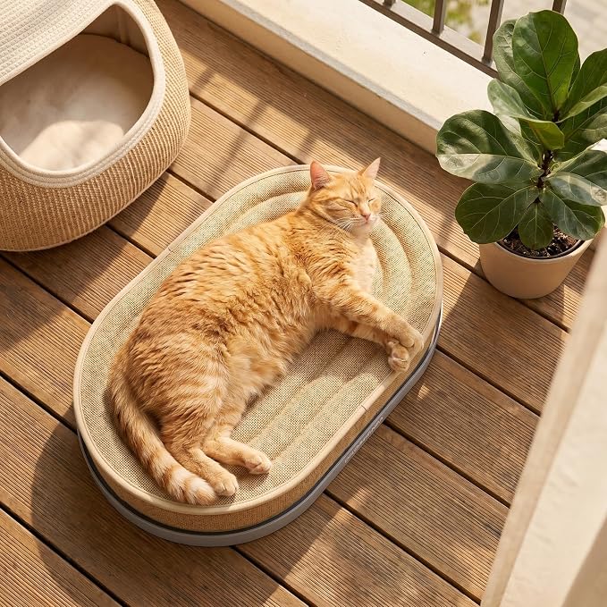 Large Sisal Cat Scratcher Lounge, 2-in-1 Cat Bed with Durable Base & Plush Foam Cushion, Non-Shedding Cat Scratching Pad for Indoor Cats,22"x14", No Mess Furniture Protector (Blue) - Image 7