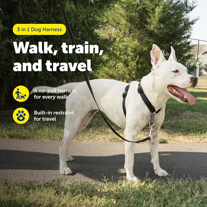 PetSafe 3 in 1 No-Pull Dog Harness - Walk, Train or Travel - Helps Prevent Pets from Pulling on Walks - Seatbelt Loop Doubles as Quick Access Handle - Reflective Accents - Medium, Black | Rests on Chest Not Throat to Reduce Pulling, 5 Adjustment Points... - Image 2