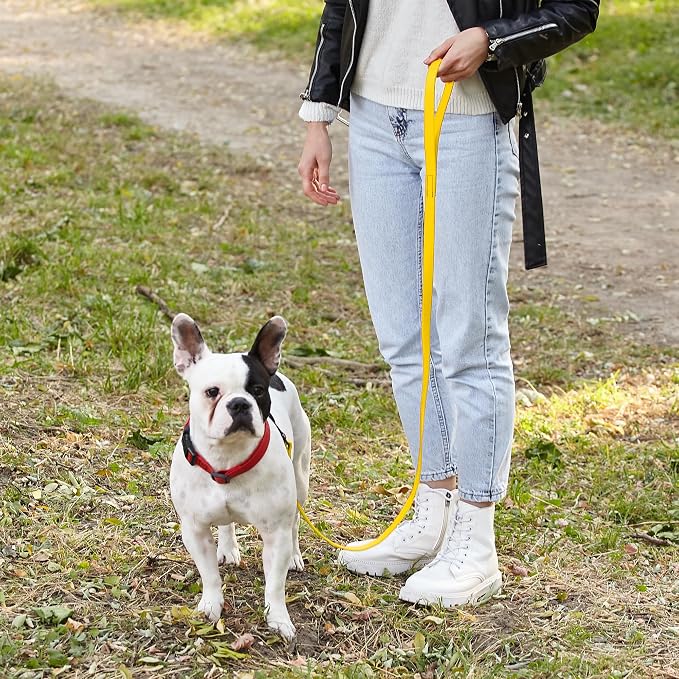 Dogline Biothane Waterproof Dog Leash Strong Coated Nylon Webbing with Black Hardware Odor-Proof Easy to Clean High Performance for Small or Large Dogs Made in USA 4 or 6 ft Lead, Lemon Yellow - Image 7