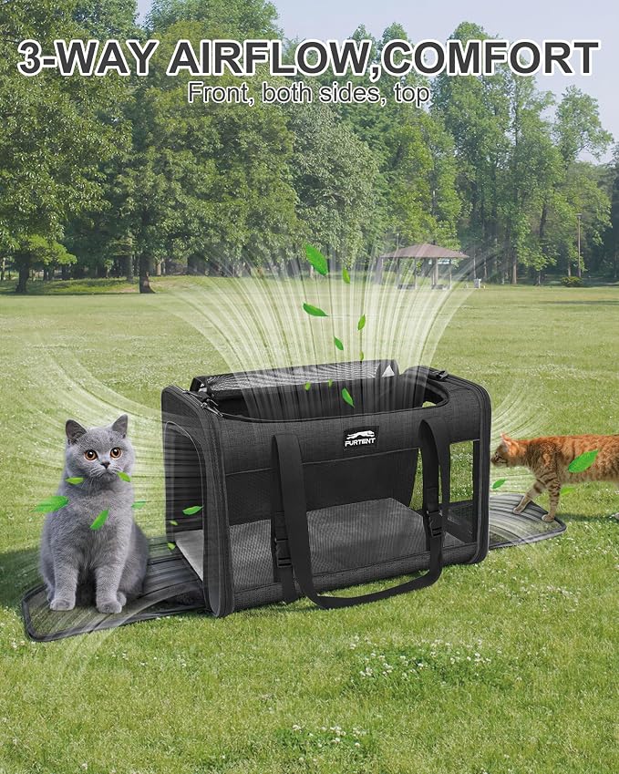 Soft-Sided Large Cat Carrier for 2 Cats, Spacious Foldable Pet Travel Carrier for Large Cats up to 25 Lbs, Double Cat Bag with Shoulder Strap, 20x13x13 Inch, Fits Maine Coon and Small Dogs, Black | Spacious 20×13×13 in design with reinforced frame for ... - Image 6