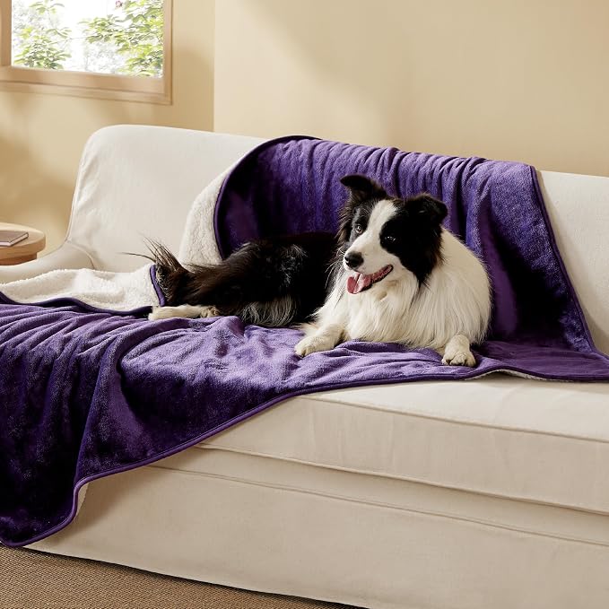 Bedsure Waterproof Dog Blankets for Large Dogs Sherpa Fleece Throw, 50X60 | Washable Soft Plush Pet Cat Blanket for Couch Cover, Reversible Cozy Calming Protector Warm for Senior Dogs,Eggplant by Unknown