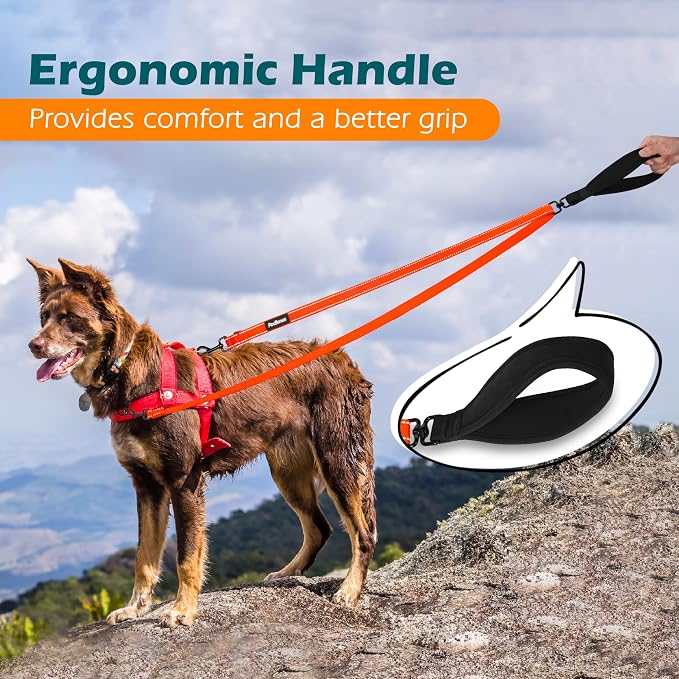 PetBonus Two Point Control Dog Leash, No Tangle Training Walking Leashes | Soft Padded Handle, Reflective, Works with No Pull Harnesses, Converts to Single Lead for Medium Large Dogs, Orange - Image 5