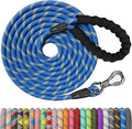 NTR Heavy Duty Dog Leash - 30FT Reflective with Swivel Lockable Hook and Comfortable Padded Handle, Puppy Leash for Walking, Hunting, Camping, Backyard - Blue by NTR