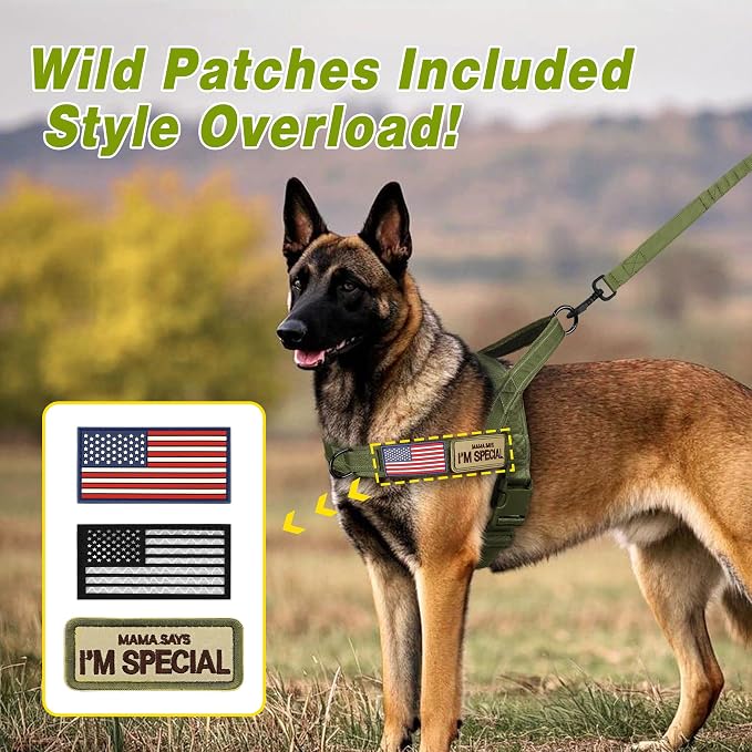 Forestpaw No Pull Dog Harness with Large Handle,Comfortable,XL,Green | Adjustable Fits Chest 32-39",80-110 lbs,Slip On,Quick Release Buckle,Easy Control,Soft Padded,for Large Dogs Walking Training - Image 4