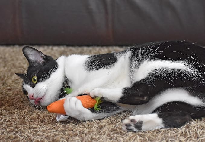 OurPets 100-Percent North American Catnip Filled Carrot Cat Toy 24 Karat - Image 10