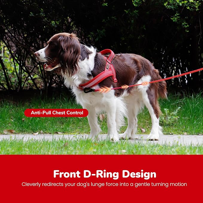 No Pull Dog Harness for Small Dogs, Breathable Mesh Padded, Red, S | Quick Fit, Easy On and Off, Adjustable, Reflective Vest Harness for Night Safty, Easy for Walking and Training, Chest 18-22" - Image 5