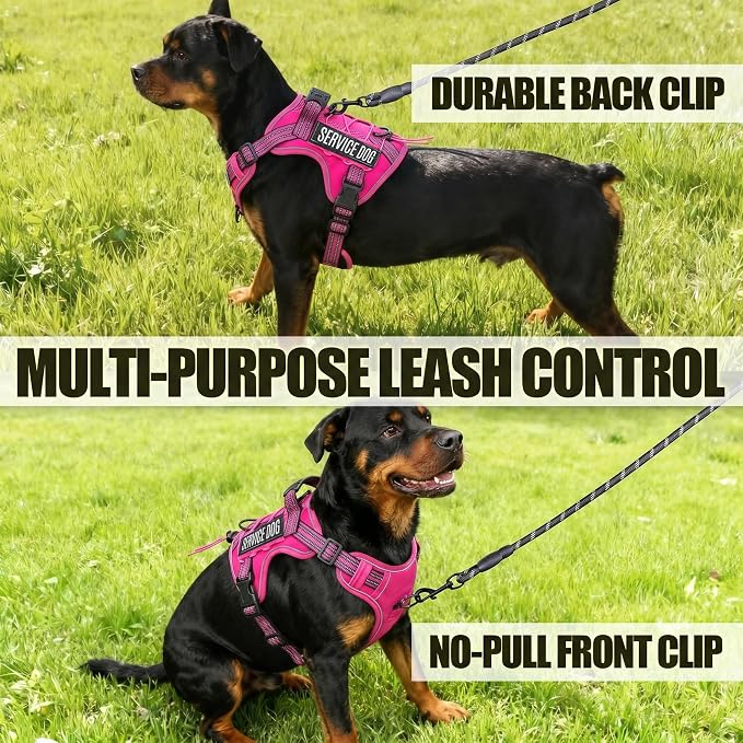 3-in-1 Dog Vest Harness Leash Set for Daily,Service,Training Animal X Large - Image 6
