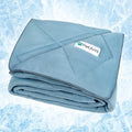 PetAmi Premium Cooling Dog Blanket | Lightweight Fluffy Pet Throw Blanket Bed Cover for Dogs, Cat, Puppies | Pet Blanket Furniture Protector Couch Sofa | Reversible Fuzzy Cozy | 29x40, Dusty Blue by PetAmi