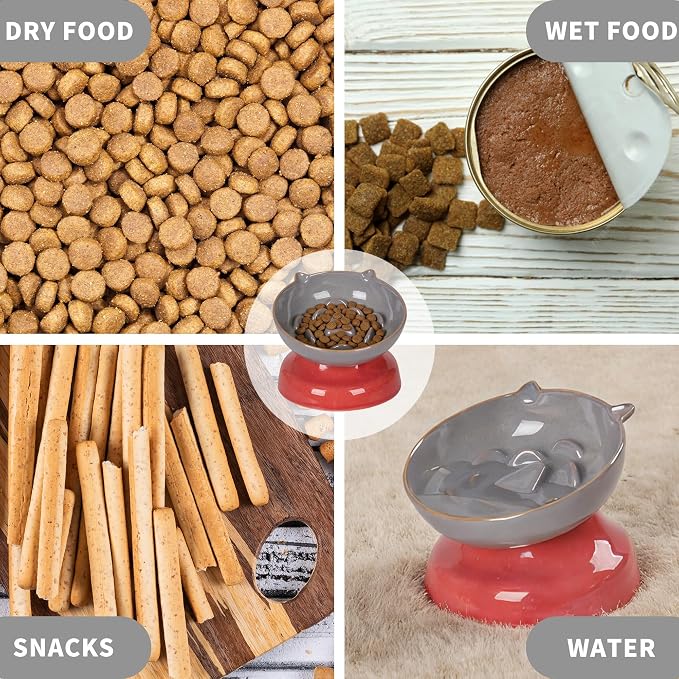 Ceramic Slow Feeder Cat Bowl, 15-Degree Tilted Non-Slip | Food-Grade Ceramic For Indoor Cats, 5.3 In Shallow Bowl, Whisker-Friendly, Dry And Wet Food, Dishwasher Safe - Image 9