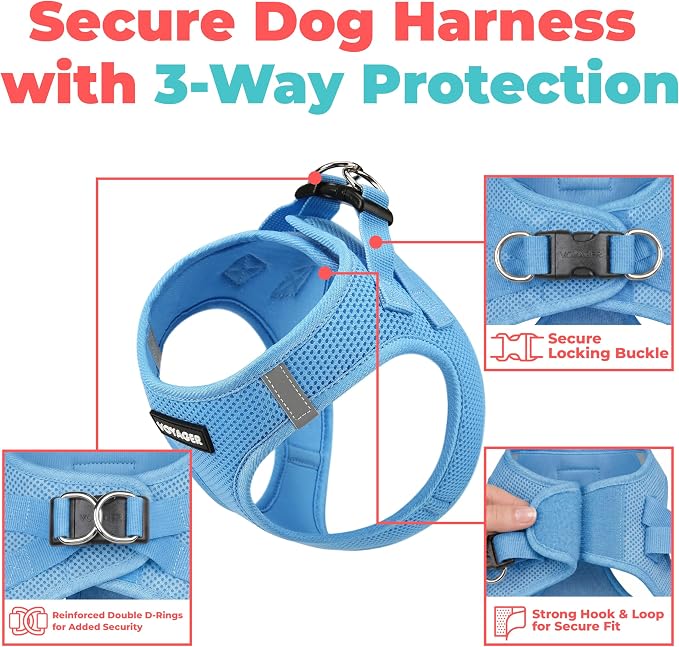 Voyager Step-in Air Dog Vest Harness - Sky Blue, XXX-Small | 11 - 12" in Chest, Reflective Bands, All Weather Breathable Air Mesh, Cats Compatible, Lightweight, Fast Drying - Image 2