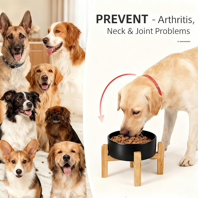 Elevated/Raised Ceramic Dog Bowl with Bamboo Stand，6 Inch 3.6 Cups Non Slip Heavy Weighted Single Pet Dish, for Small Medium Breed & Cats,Reduces Neck Strain Black - Image 2