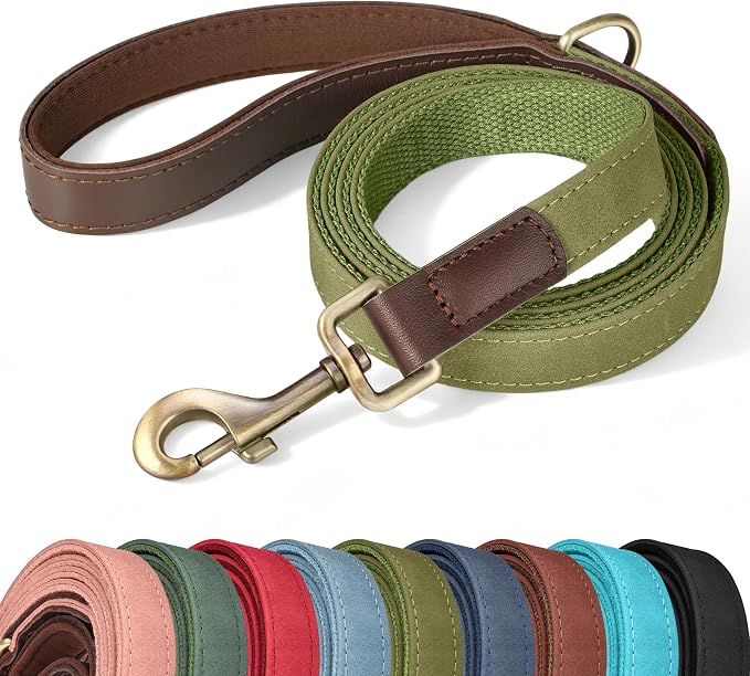PU Leather Dog Leash for Small Dogs, 5ft Padded Handle, Olive Green | Comfortable Grip for Daily Walking Training, Full Control, Metal D-ring, Tangle-Free 360° Swivel Clasp, Easy to Clean, 5/8in by Didog
