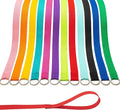 Slip Lead Dog Leash, 12 Pack 6 FT Pet Bulk Leashes with O-Ring | Short Pet Leads for Walking Training Grooming Shelter Rescue Small Medium and Large Dogs by PETPMEEE