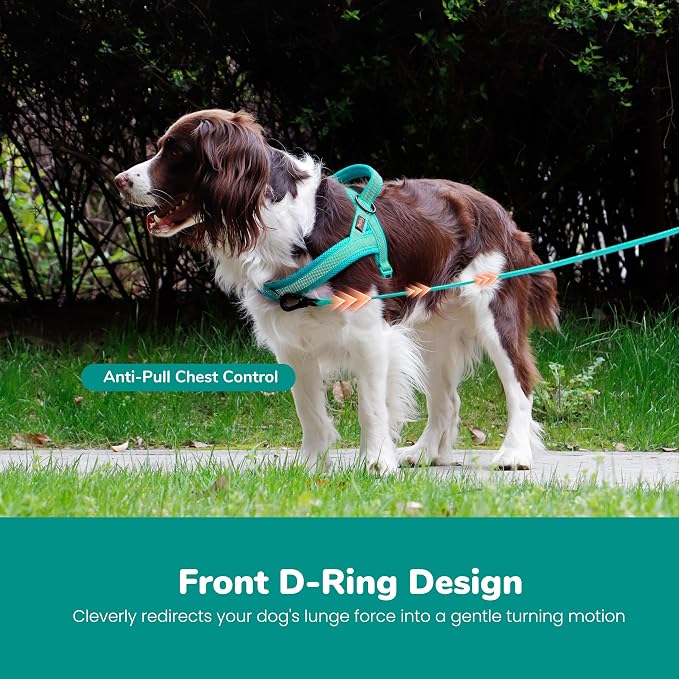 No Pull Dog Harness for Small Dogs, Breathable Mesh Padded, Green, S | Quick Fit, Easy On and Off, Adjustable, Reflective Vest Harness for Night Safty, Easy for Walking and Training, Chest 18-22" - Image 5