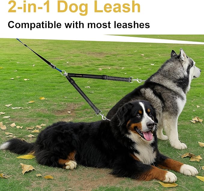 MingXpet Double Dog Leash for Two Dogs, No Pull Dog Leash, 360° Swivel No Tangle for Large Dogs Walking & Training, Shock Absorbing Reflective Bungee, Black - Image 6