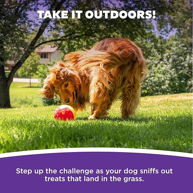 Outward Hound Nina Ottosson Treat Tumble Dog Toy Puzzle Ball, 5.8" | Level 1 Easy, Food-Dispensing Ball, Holds 1 Cup Kibble or Treats, No BPA, Interactive Enrichment, Dogs & Puppies - Image 5