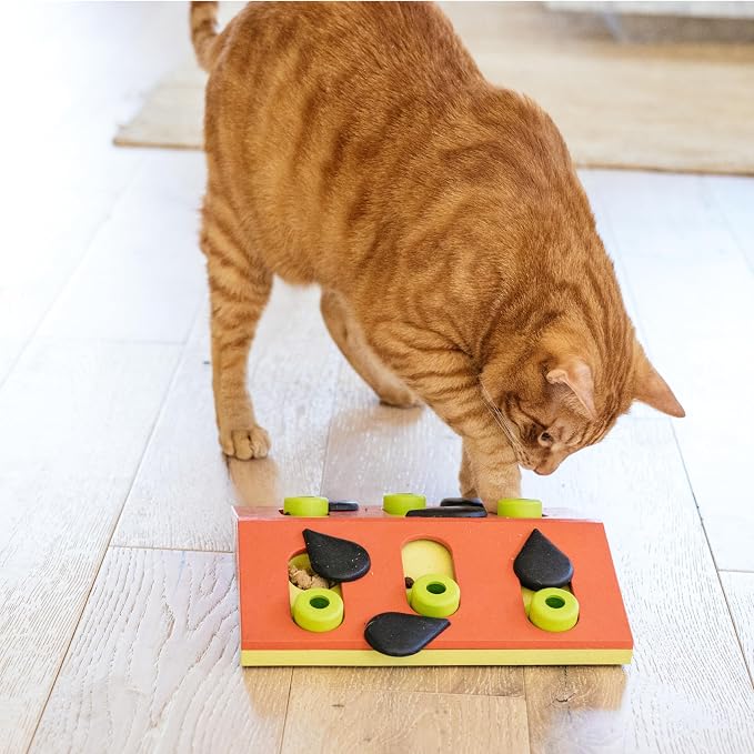 Catstages Nina Ottosson Melon Madness Puzzle & Play Cat Toy, 10.6" | Level 2 Intermediate, 12 Hidden Treat Cups, Problem Solving, Interactive Enrichment, Slow Feeder, Indoor Cats & Kittens - Image 8