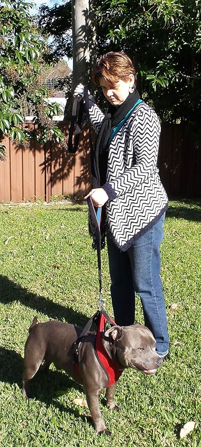 Dog Leash 6ft Long,Traffic Padded Two Handle,Heavy Duty,Reflective Double Handles Lead for Control Safety Training,Leashes for Large Dogs or Medium Dogs,Dual Handles Leads(Black) - Image 4