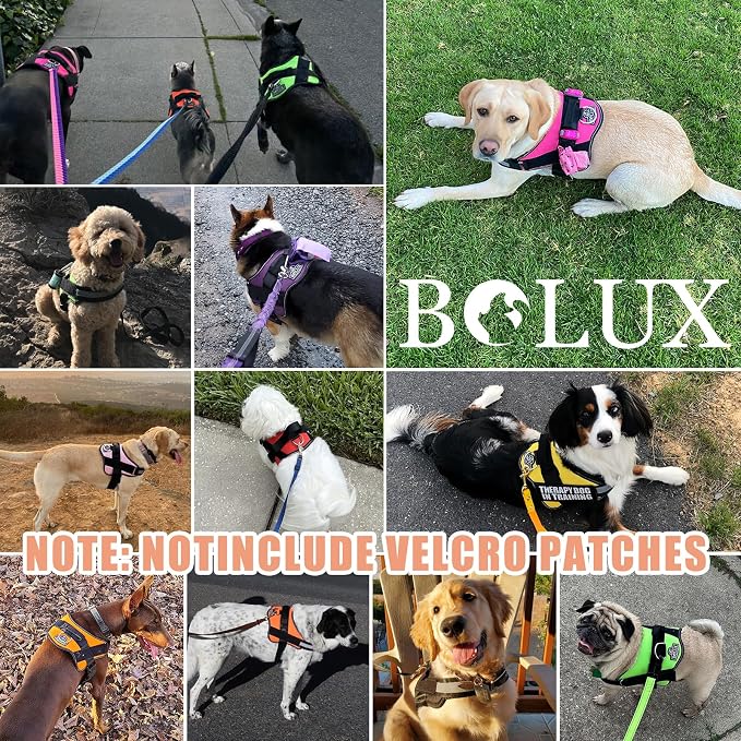 Dog Harness, No-Pull Reflective Dog Vest, Breathable Adjustable Pet Harness with Handle for Outdoor Walking - No More Pulling, Tugging or Choking - Image 6