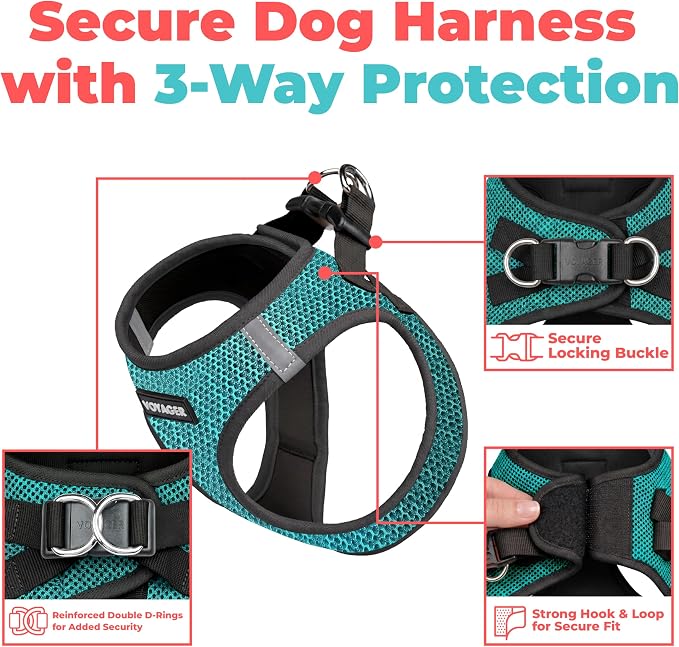Voyager Step-in Air Dog Vest Harness - Turquoise 2-Tone, Medium | 16 - 18" in Chest, Reflective Bands, All Weather Breathable Air Mesh, Cats Compatible, Lightweight, Fast Drying - Image 2