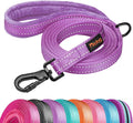 Didog 6FT Reflective Dog Leash for Medium Large Dogs,Slim 3/4" Width,Purple | Soft Padded Handle, Plush Comfort Grip, Tangle-Free, 360°Heavy-Duty Strengthened Clasp for Daily Walks/Training, Night Safety by Didog
