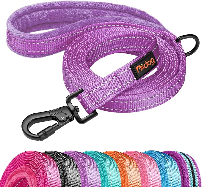 Didog 6FT Reflective Dog Leash for Medium Large Dogs,Slim 3/4" Width,Purple | Soft Padded Handle, Plush Comfort Grip, Tangle-Free, 360°Heavy-Duty Strengthened Clasp for Daily Walks/Training, Night Safety by Didog