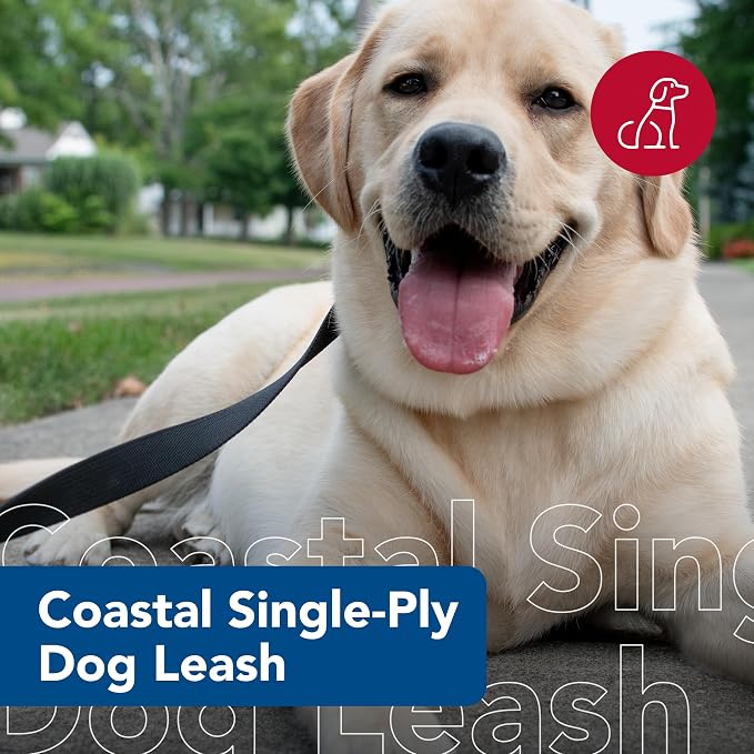 Coastal Pet Single-Ply Dog Leash - Sturdy Pet Leash - Comfortable & Stylish - Resists Fraying - Vibrant & Fade-Resistant Color - Black, 1" x 4' - Image 2
