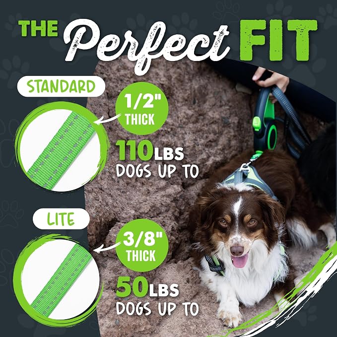 Mighty Paw Retractable Dog Leash 2.0, 16 Ft, for Medium Dogs, Heavy Duty | Reflective Nylon Tape, Tangle-Free Swivel Clip, One-Touch Quick-Lock Brake, Reflective Ring, Anti-Slip Handle - Image 2