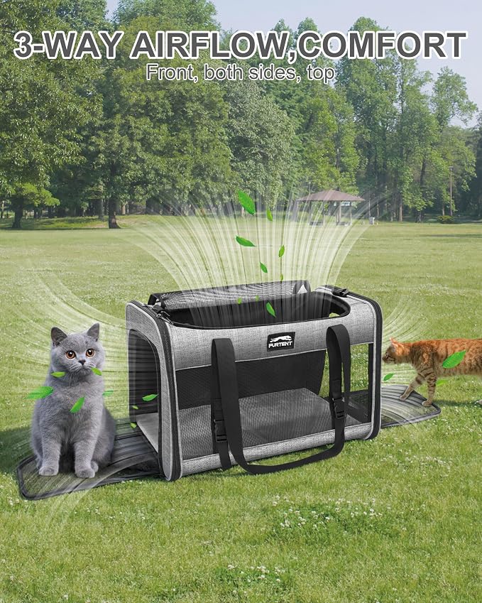 Soft-Sided Large Cat Carrier for 2 Cats, Spacious Foldable Pet Travel Carrier for Large Cats up to 25 Lbs, Double Cat Bag with Shoulder Strap, 20x13x13 Inch, Fits Maine Coon and Small Dogs, Grey | Spacious 20×13×13 in design with reinforced frame for o... - Image 6