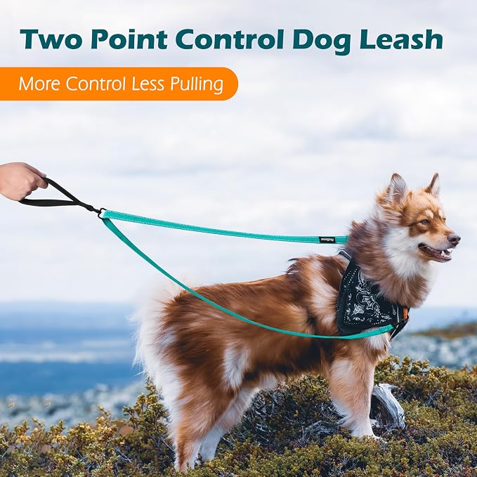 PetBonus Two Point Control Dog Leash, No Tangle Training Walking Leashes | Soft Padded Handle, Reflective, Works with No Pull Harnesses, Converts to Single Lead for Medium Large Dogs, Turquoise - Image 2