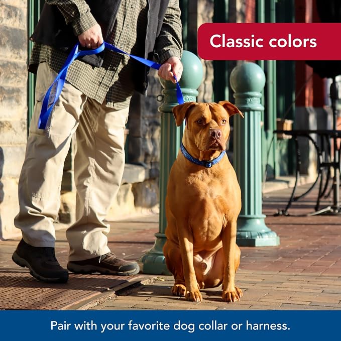 Coastal Pet Single-Ply Dog Leash - Sturdy Pet Leash - Comfortable & Stylish - Resists Fraying - Vibrant & Fade-Resistant Color - Teal, 3/8" x 6' - Image 6