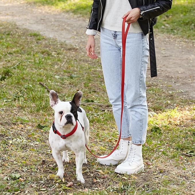 Dogline Biothane Waterproof Dog Leash Strong Coated Nylon Webbing with Black Hardware Odor-Proof Easy to Clean High Performance for Small or Large Dogs Made in USA 4 or 6 ft Lead, Cherry Red - Image 7